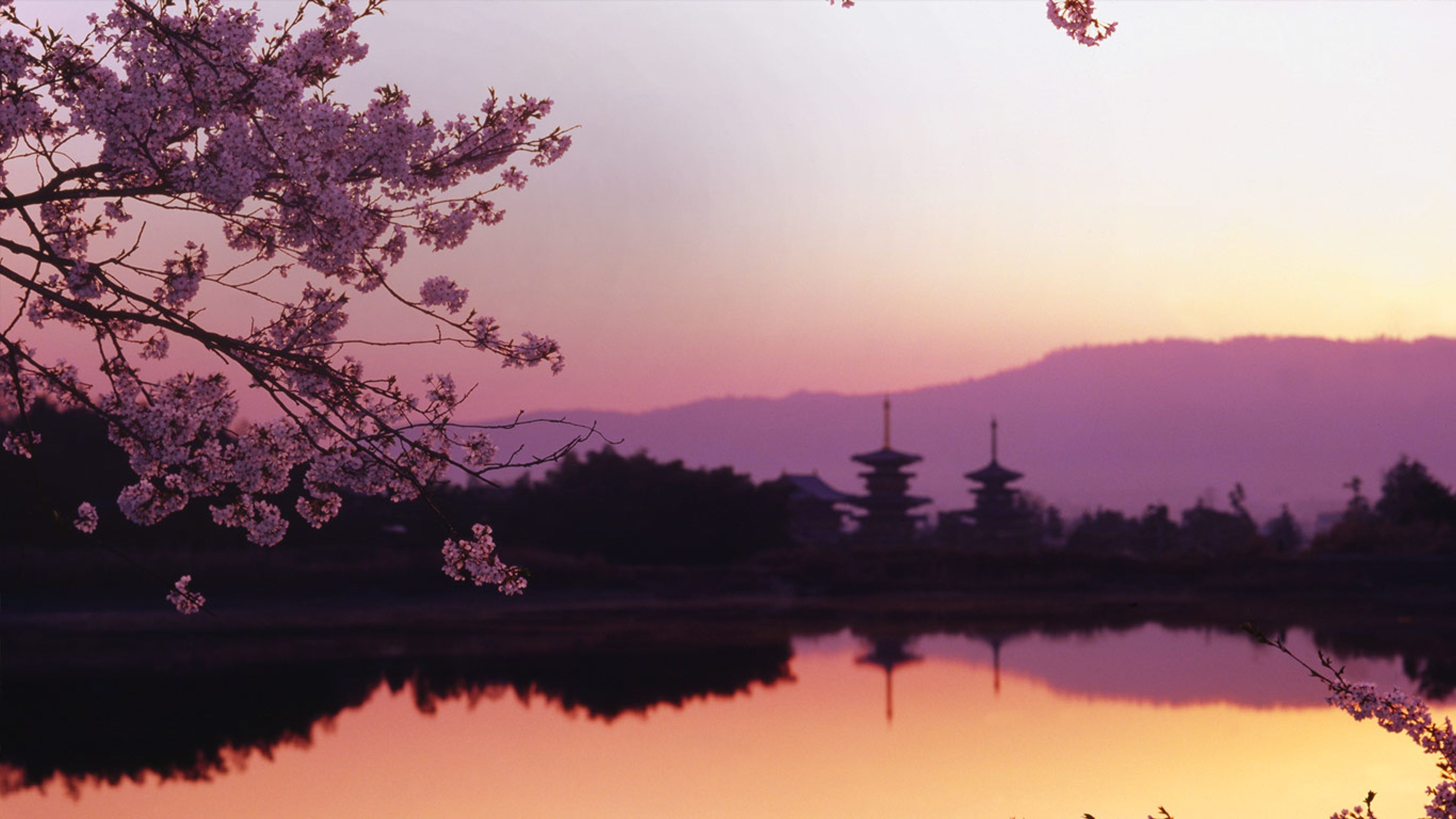 西の京大池と薬師寺｣奈良 - Bing Gallery