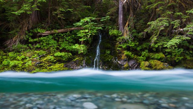 华盛顿,贝克山 - 斯诺夸尔米国家森林公园, 培根溪流