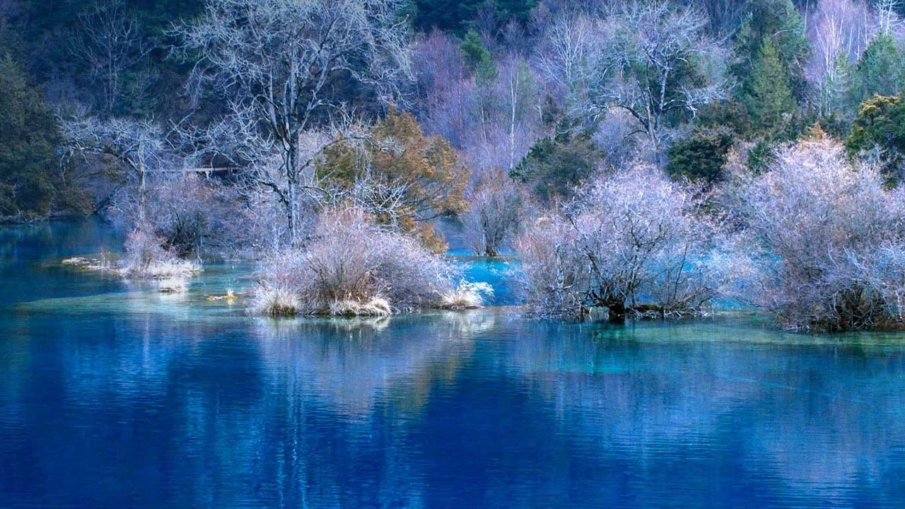 九寨沟的惊人美景