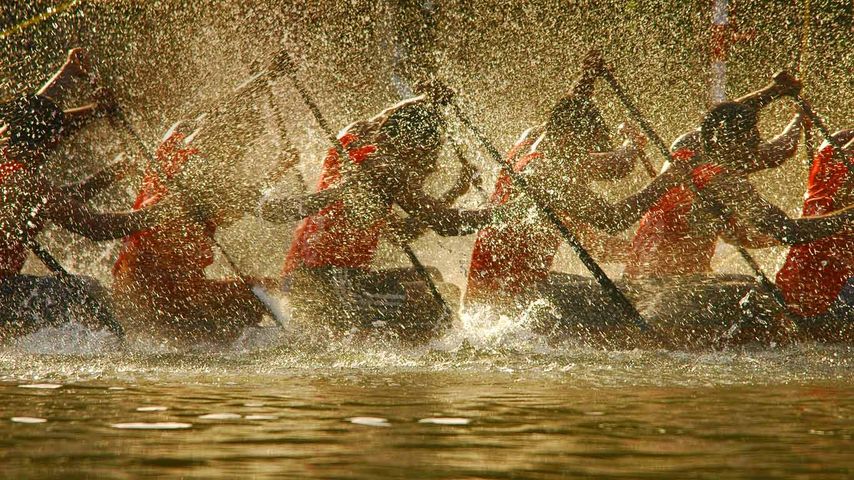 Competitors in the Nehru Trophy Boat Race in Alappuzha, India