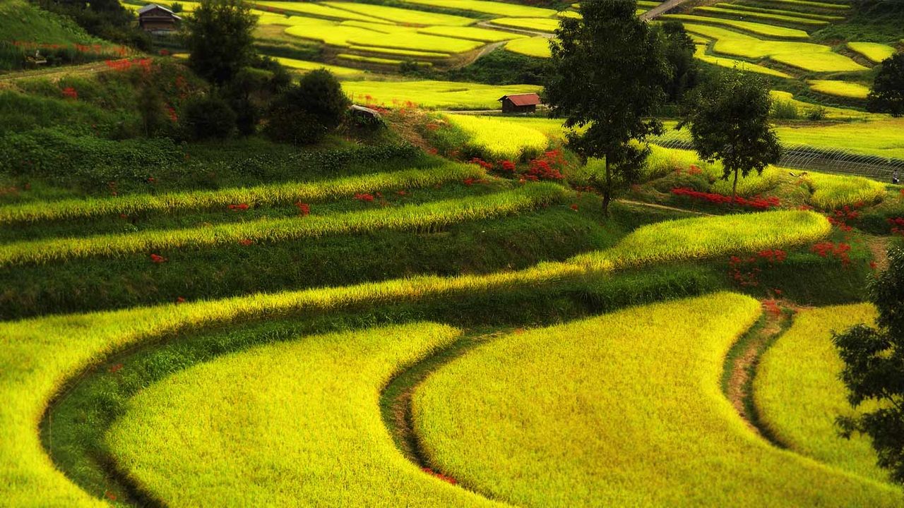Asuka, préfecture de Nara, Japon
