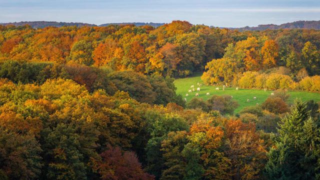 Vue depuis la Roche d'Oëtre dans la Suisse normande, Calvados, Normandie 