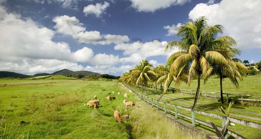 风景迷人的法属西印度群岛：瓜德罗普