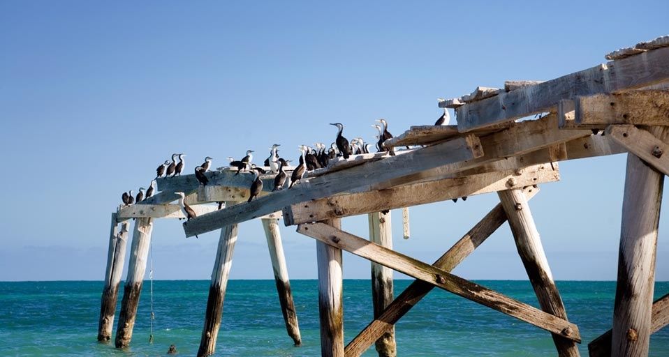 Jetty at Eucla, Western Australia