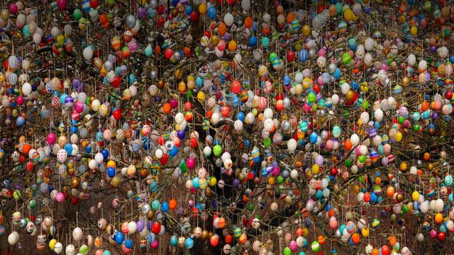 An osterbaum (Easter tree) in Saalfeld, Germany