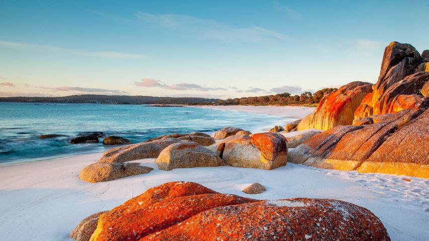 Orange lichen-covered rocks at Bay of Fires, Tasmania