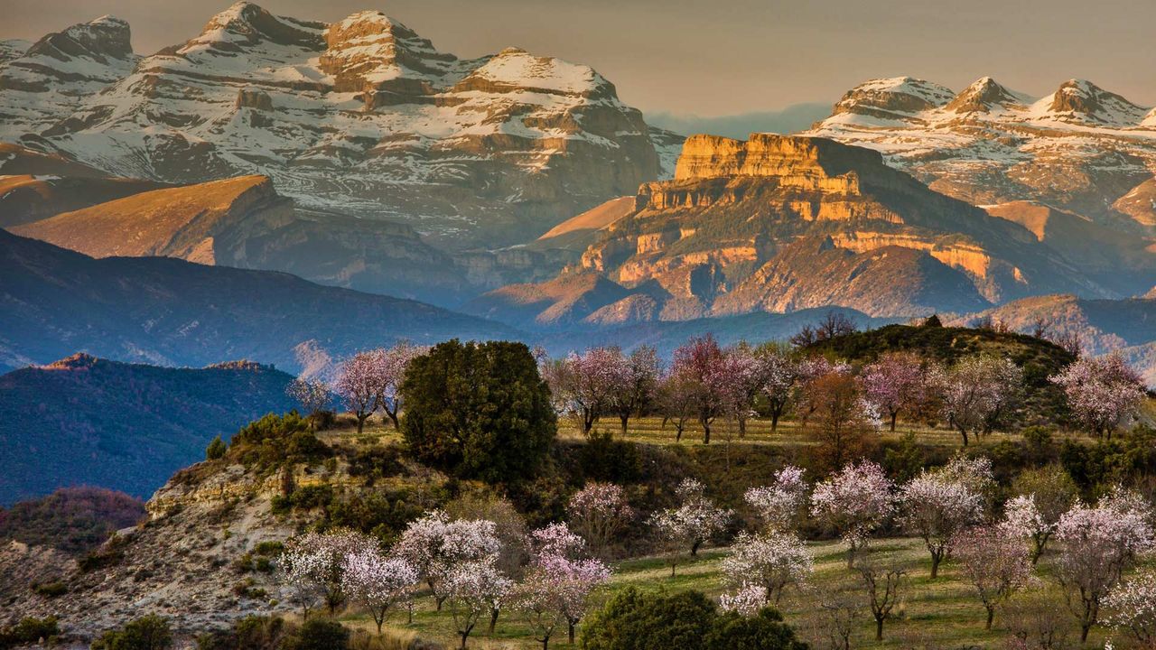 Springtime near the village of Aínsa-Sobrarbe, Spain 
