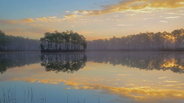 Long Pine Key in Everglades National Park, Florida