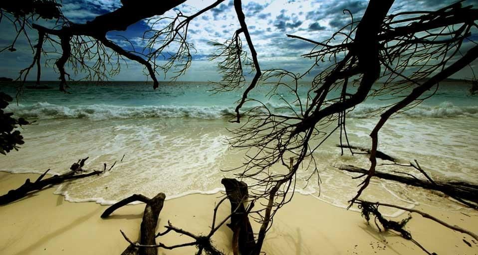 A remote beach in the Similan Islands, Thailand