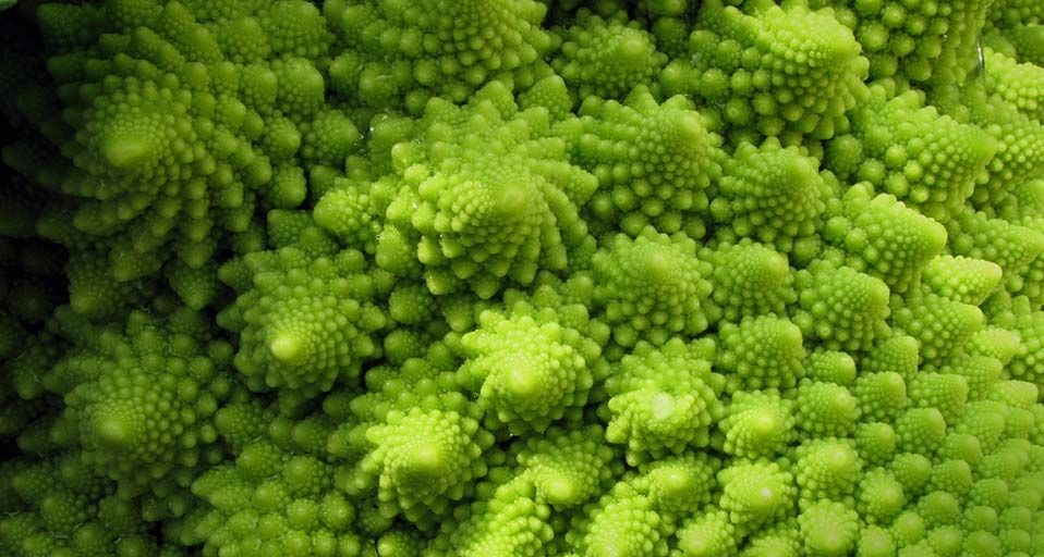Romanesco