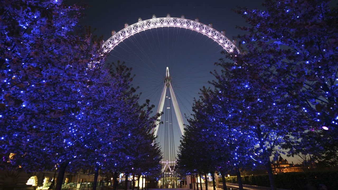 The London Eye at night behind a row of illuminated trees