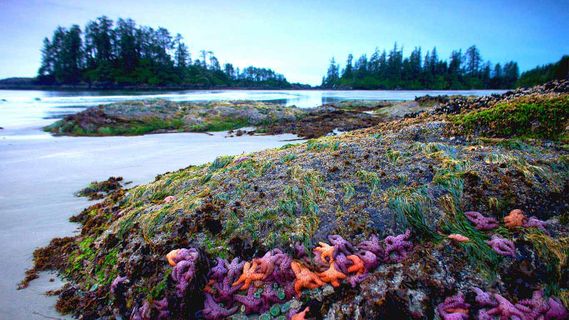 让人郁闷的完成端口...