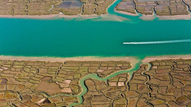 Der Fluss Seudre, Département Charente-Maritime, Frankreich
