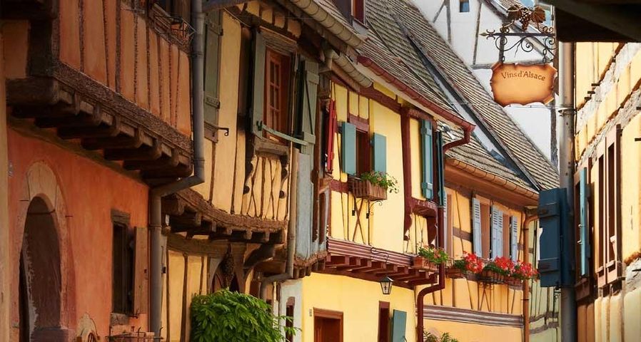 Maisons à colombages d’Eguisheim, labellisé « Plus beaux villages de France », Haut-Rhin, Alsace