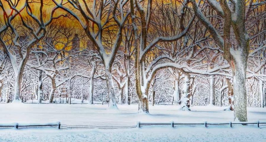 Sunrise in Central Park after a snowstorm in New York City