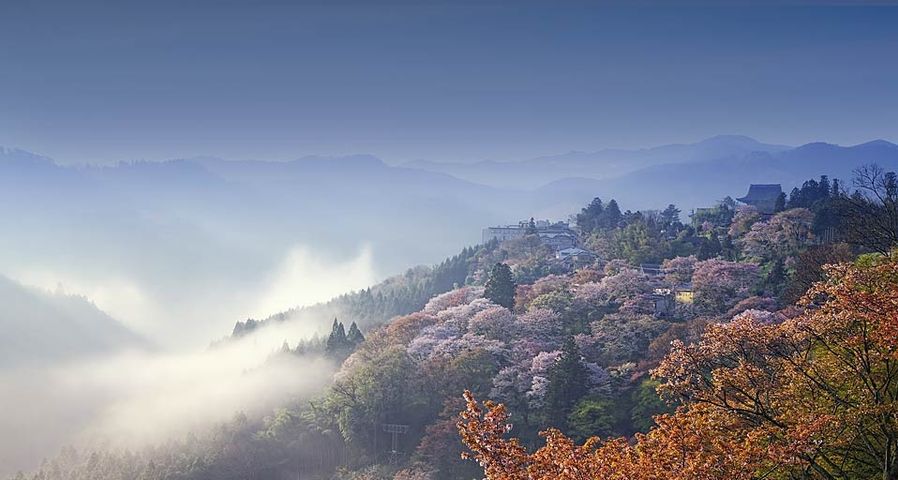 ｢吉野山｣奈良