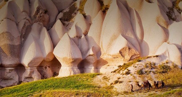 Eroded rock formations and camels in Uchisar, Cappadocia, Turkey