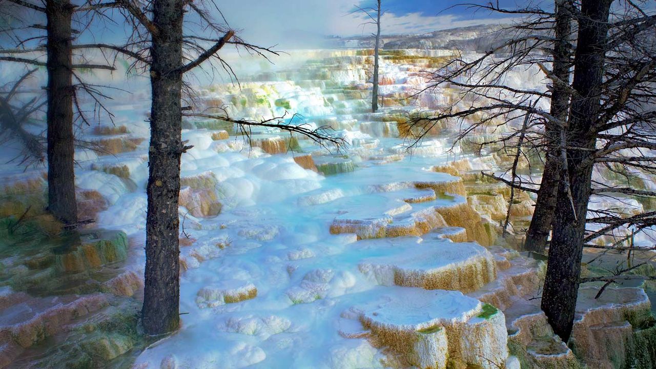 Minerva Terrace in Mammoth Hot Springs of Yellowstone National Park, Wyoming 