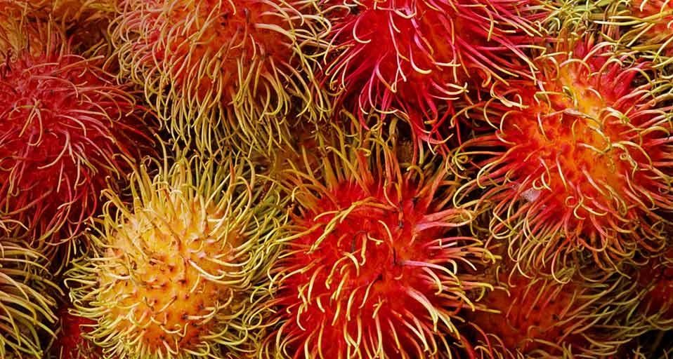 Rambutans