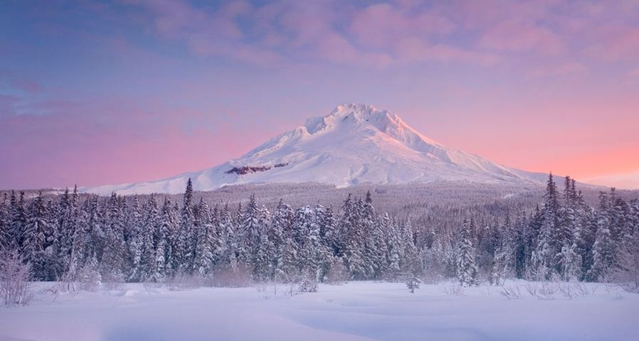 Beautiful sunrise over Oregon's Mount Hood after a fresh snowfall on the meadows below