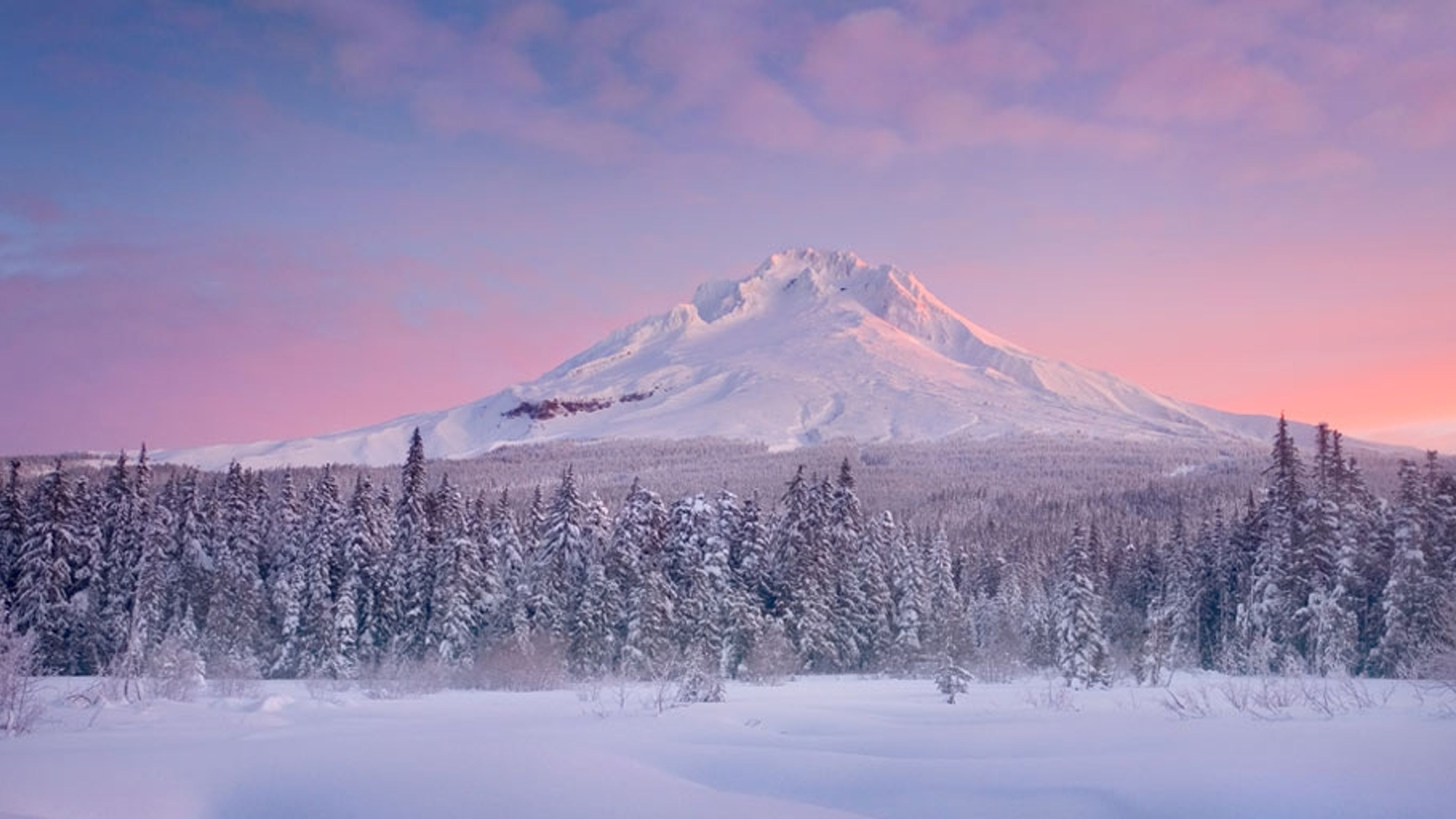 The perfect snowy sunrise to start the week. // Photo: @zakstonephotography  // Location: Oregon