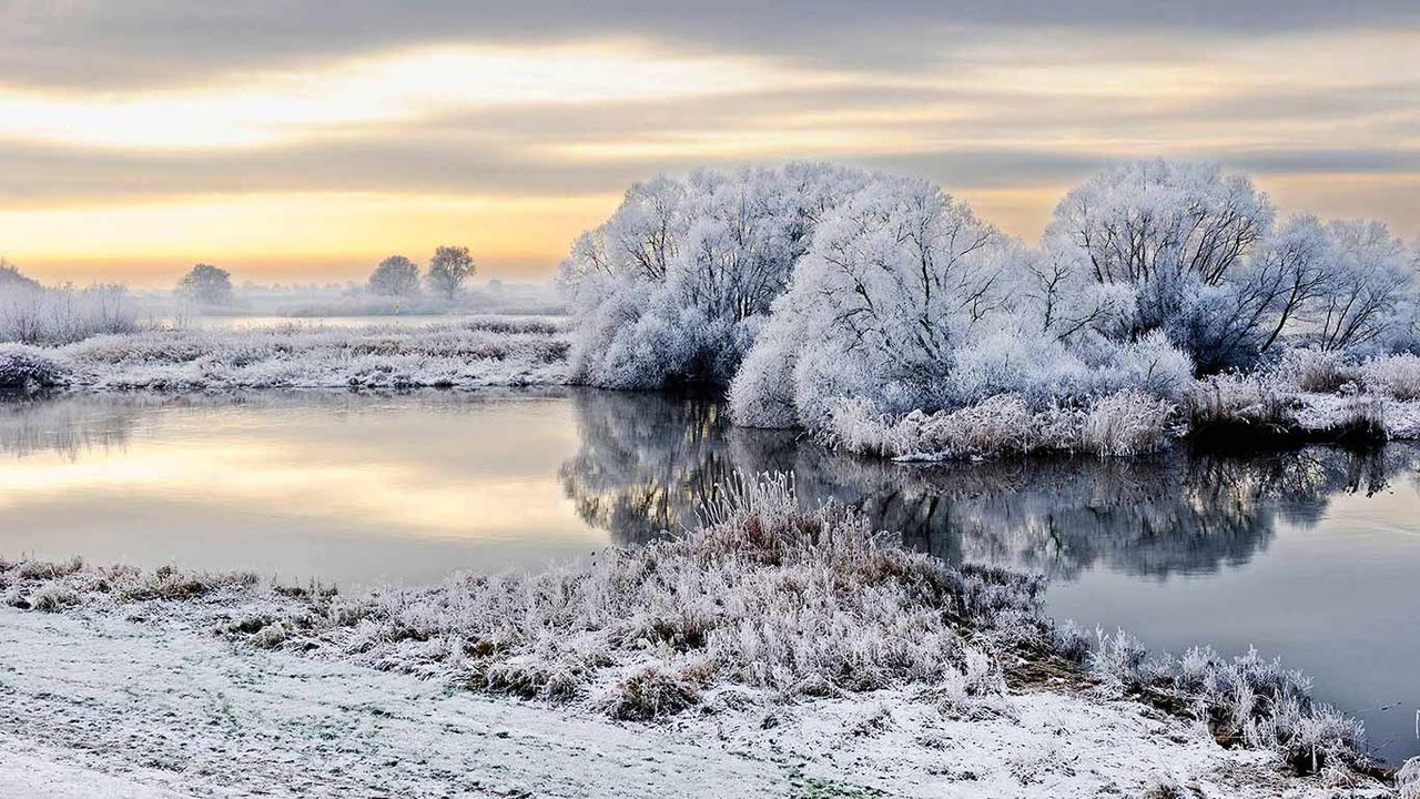 Von Raureif überzogene Elbe-Landschaft, Hamburg-Kirchwerder, Deutschland