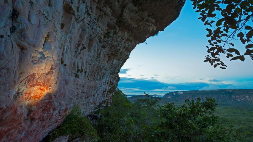 奇里比克特山脉国家自然公园的古代岩画，哥伦比亚