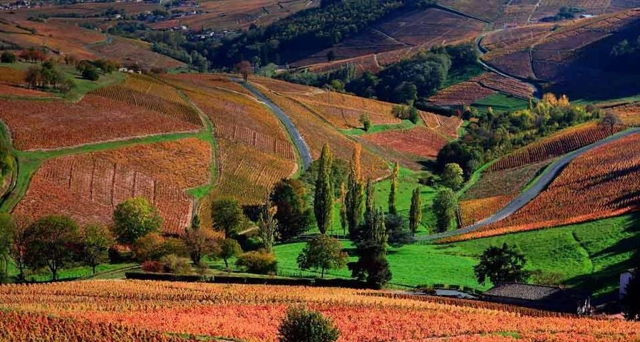 Paysage du Beaujolais en automne depuis la route des vins, Rhône, région Rhône-Alpes