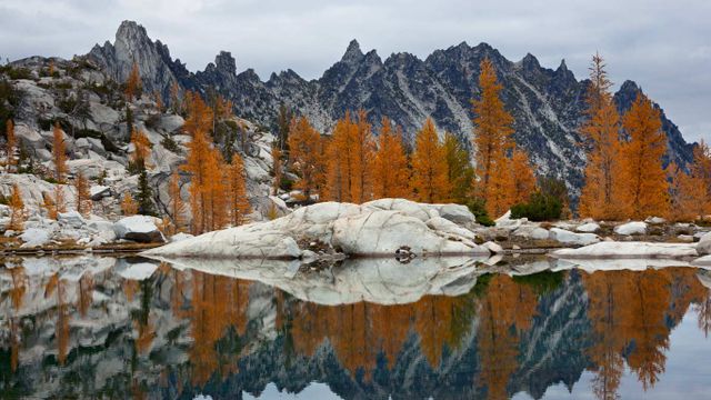 Golden larches and Prusik Peak reflected in Troll Sink Tarn, Upper Enchantments, Alpine Lakes Wilderness, Washington