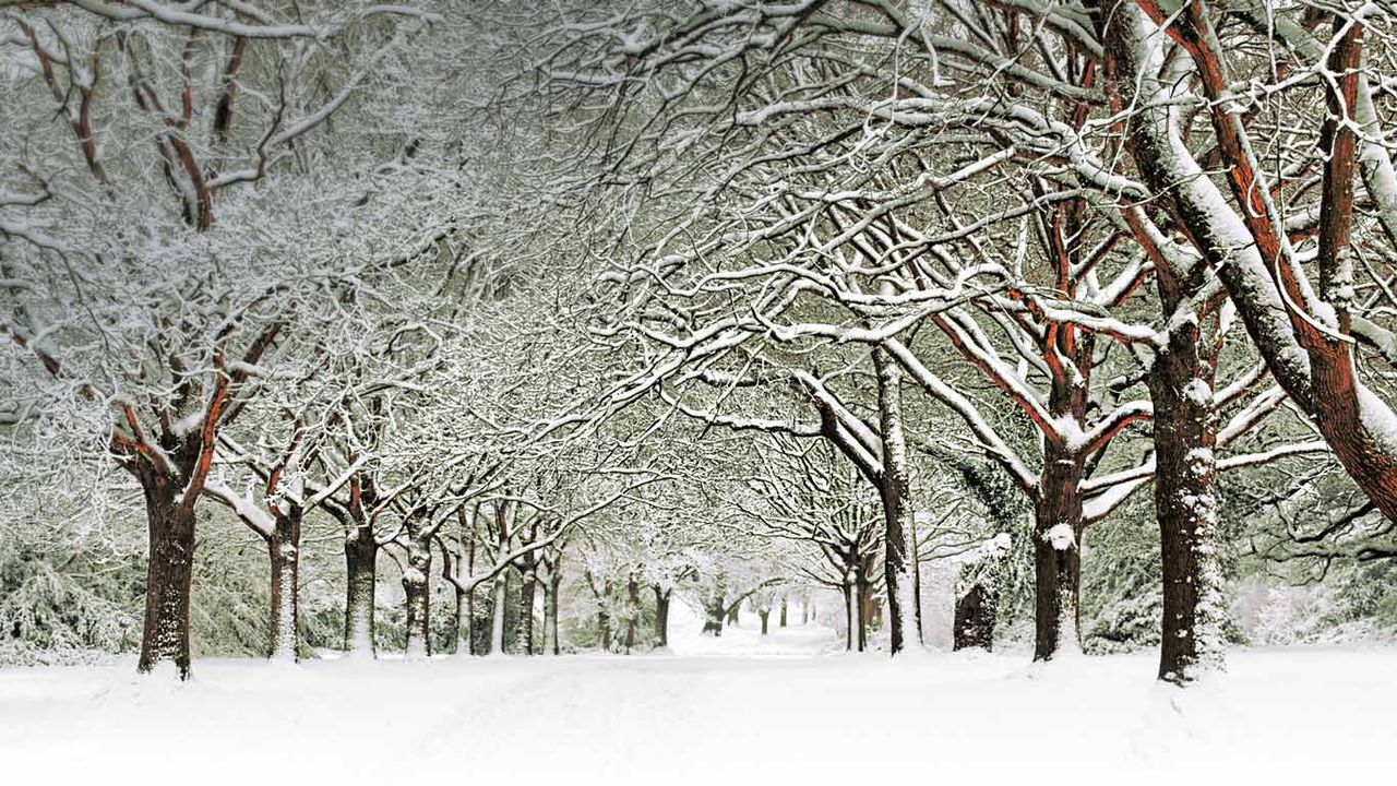 Southampton Common, Southampton, England 