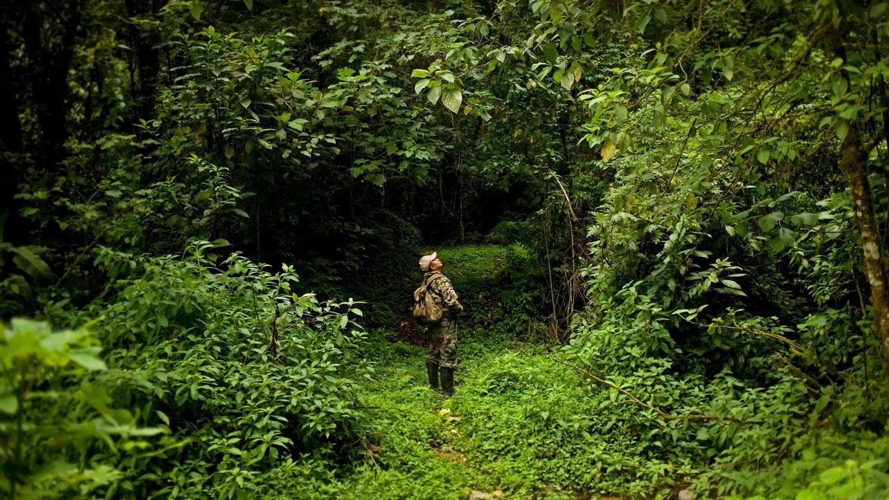 Park ranger Ismael Galvez in El Triunfo Biosphere Reserve in Mexico for World Ranger Day 