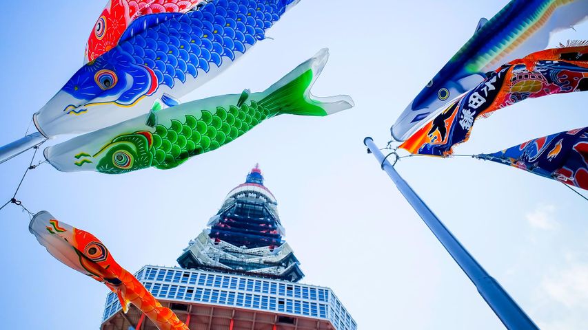 ｢こいのぼりと東京タワー｣東京, 港区 