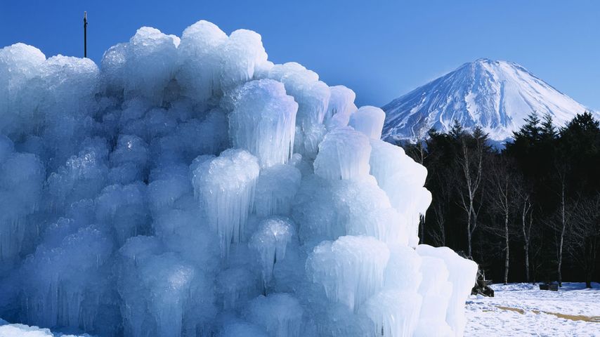 ｢西湖の樹氷｣山梨,富士河口湖町