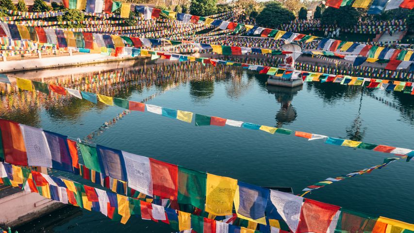 Muchalinda Sarovar, Bodh Gaya, Bihar