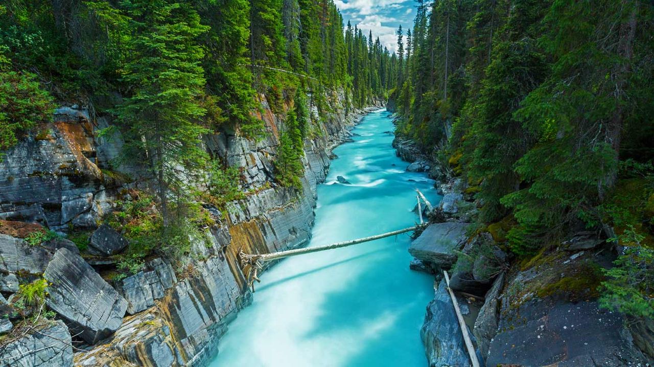 Numa Falls im Kootenay-Nationalpark, British Columbia, Kanada