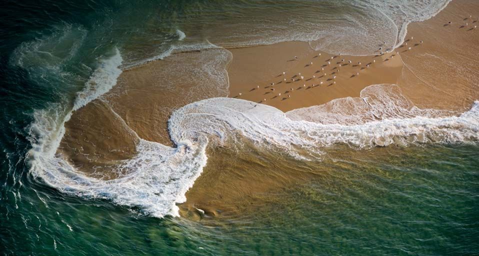 Möven auf einer Sandbank im Becken von Arcachon, Frankreich – Jean-Daniel Sudres/Corbis ©