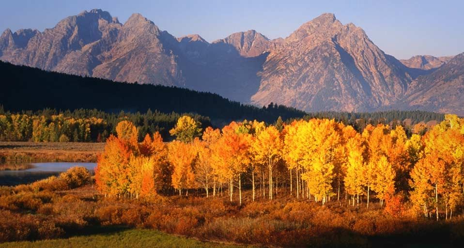 Autumn in Grand Teton National Park