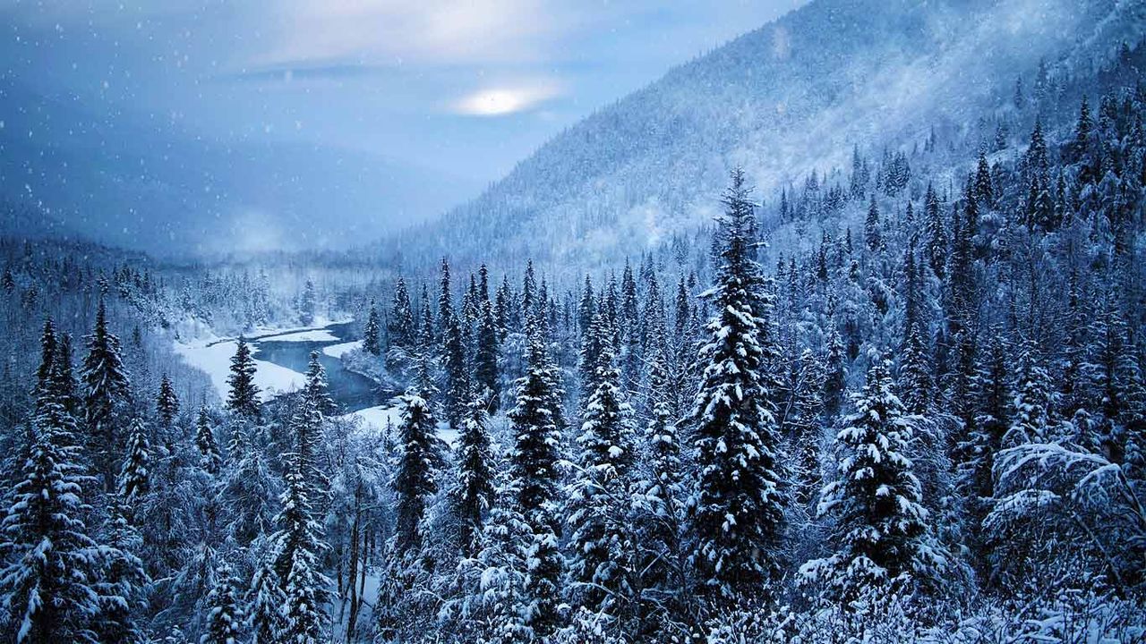 Kenai Peninsula, Alaska