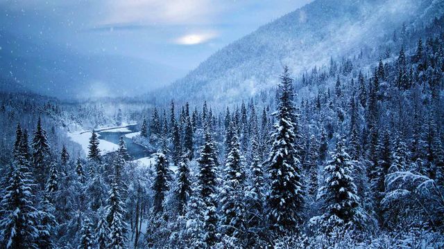 Kenai Peninsula, Alaska