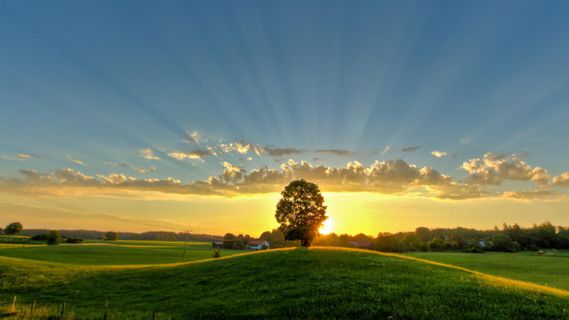 好用的Mac五笔输入法