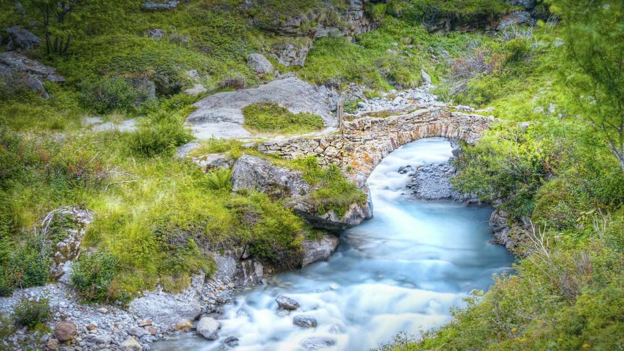 Pont du Vénéon, parc national des Écrins, Alpes françaises