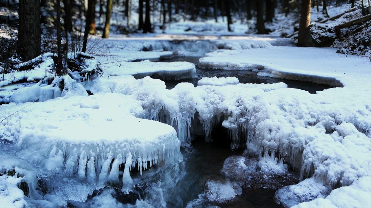 Icy creek in Bavarian Forest National Park, Germany