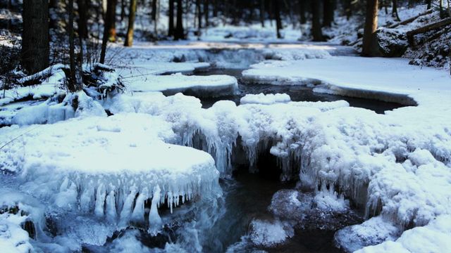Icy creek in Bavarian Forest National Park, Germany