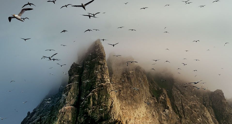 Klippen versinken im Nebel auf der Insel Boreray, St.-Kilda-Archipel, Schottland
