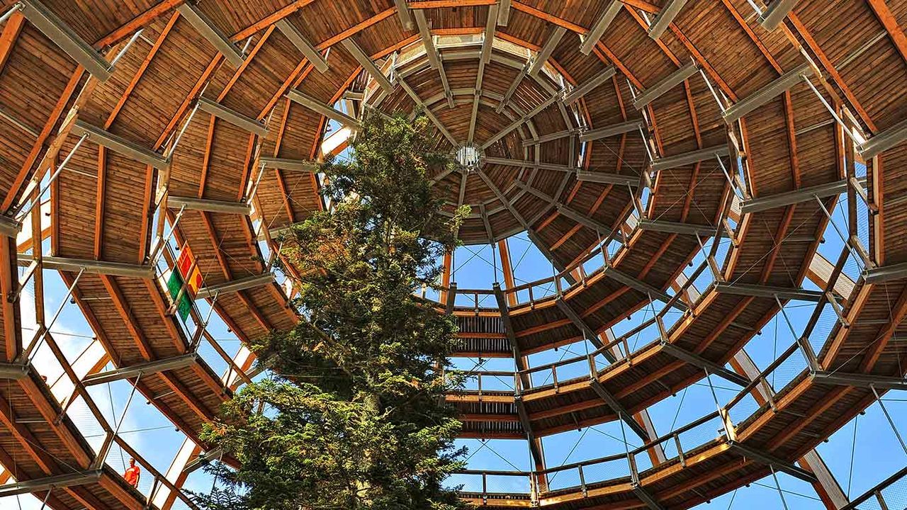 Baumwipfelpfad im Nationalpark Bayerischer Wald, Neuschönau, Bayern, Deutschland