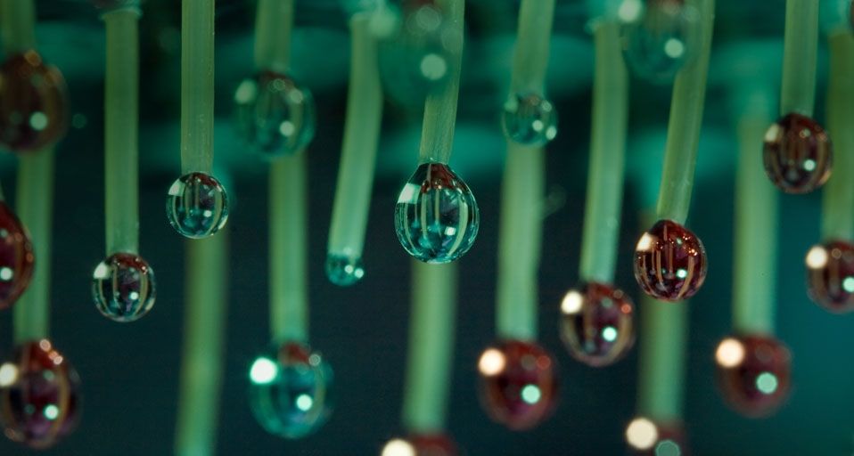 A liquid handling robot deposits protein samples on mass spectrometer during a scientific study