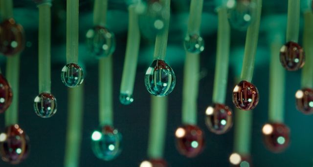 A liquid handling robot deposits protein samples on mass spectrometer during a scientific study