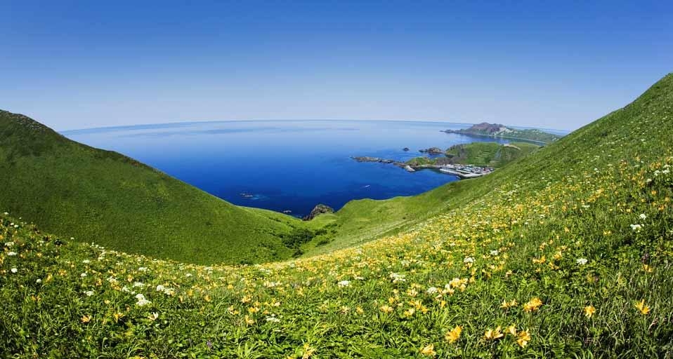 澄海岬 北海道 礼文島 Bing Gallery