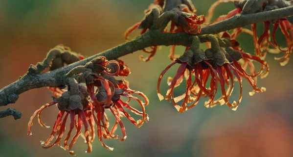 去了趟上海图书馆