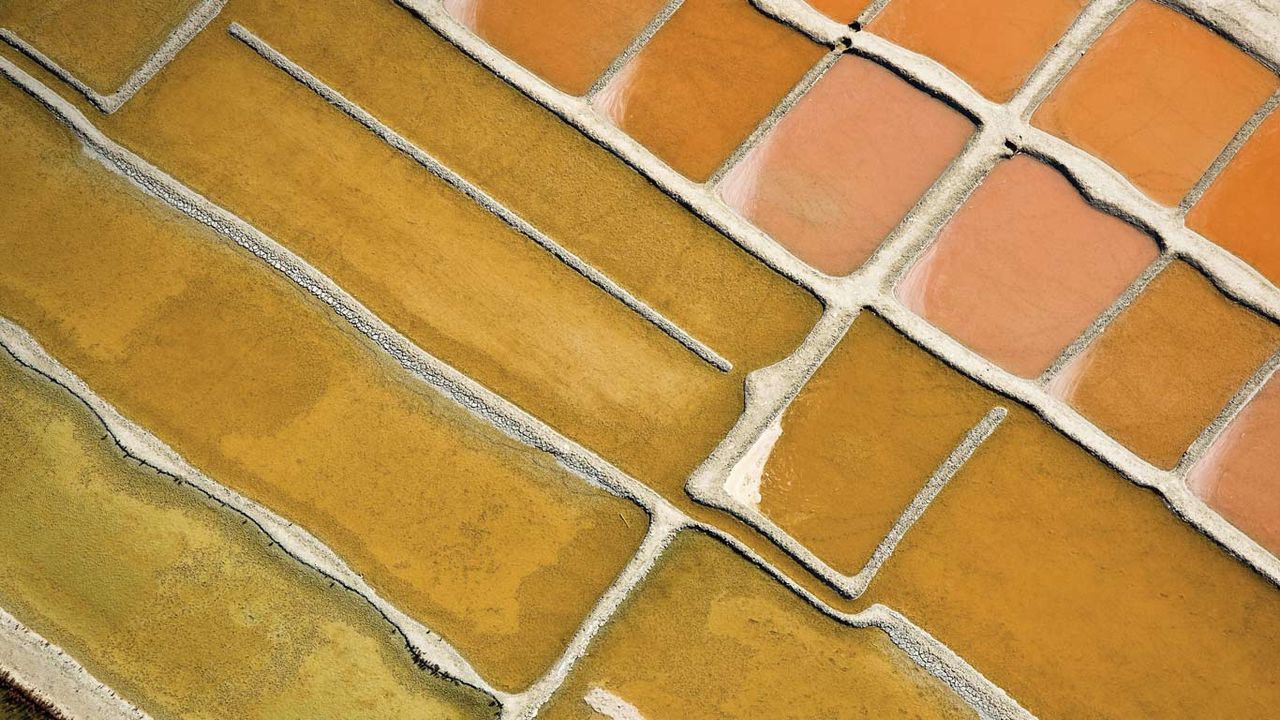Marais salants à Ars-en-Ré, île de Ré, Charente-Maritime 